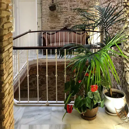 Rosario Uno 3* Cádiz