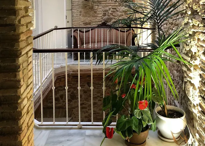 Rosario Uno 3* Cádiz